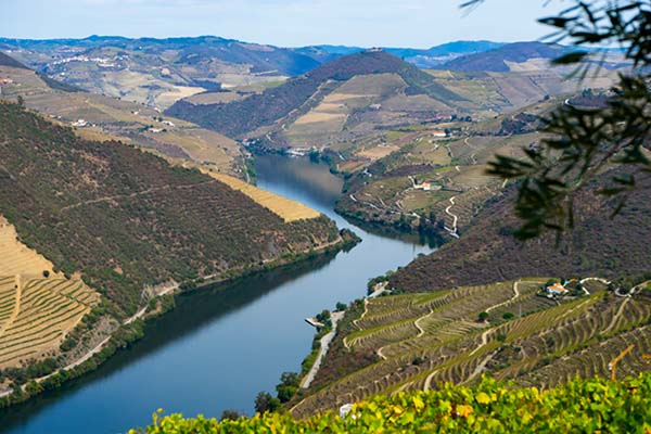Porto excursie Porto excursie